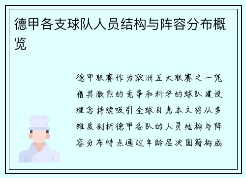 德甲各支球队人员结构与阵容分布概览